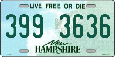 NH license plate 3993636