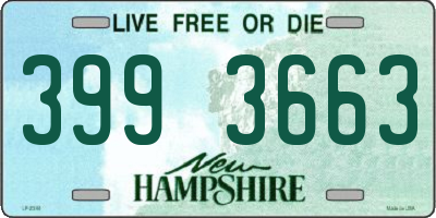 NH license plate 3993663