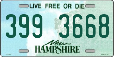 NH license plate 3993668