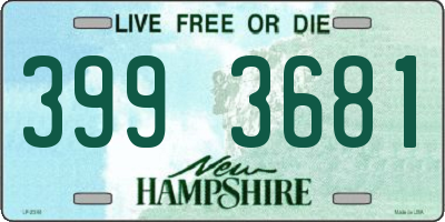 NH license plate 3993681