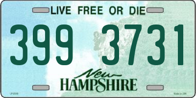 NH license plate 3993731