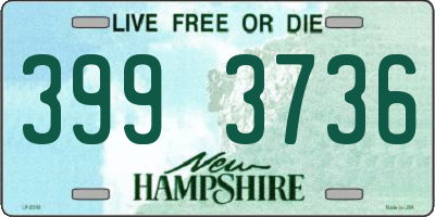 NH license plate 3993736