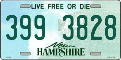 NH license plate 3993828