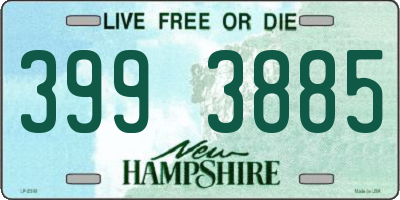 NH license plate 3993885