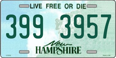 NH license plate 3993957