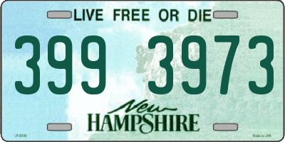 NH license plate 3993973