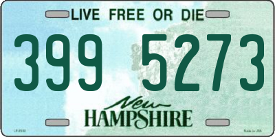 NH license plate 3995273