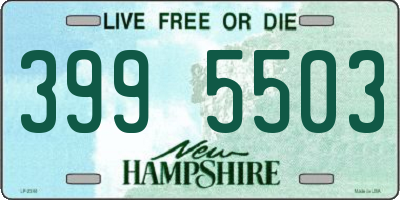 NH license plate 3995503