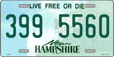 NH license plate 3995560