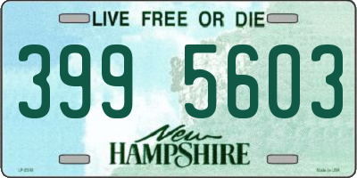 NH license plate 3995603