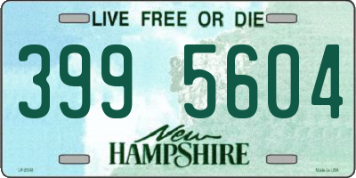 NH license plate 3995604