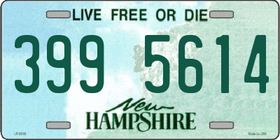 NH license plate 3995614