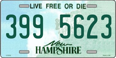 NH license plate 3995623