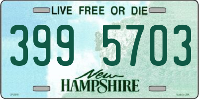 NH license plate 3995703