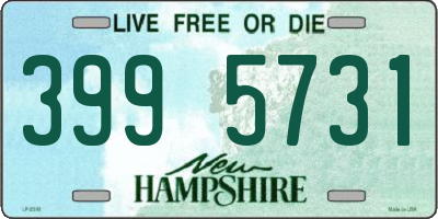 NH license plate 3995731