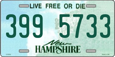 NH license plate 3995733