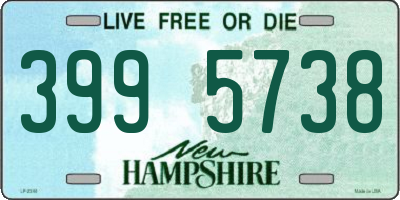 NH license plate 3995738