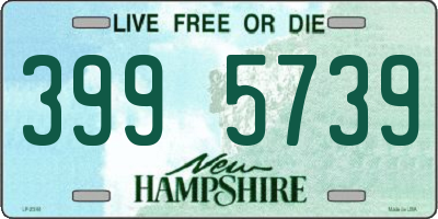 NH license plate 3995739