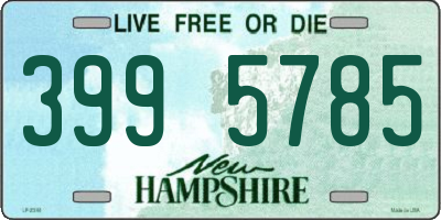 NH license plate 3995785