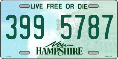 NH license plate 3995787