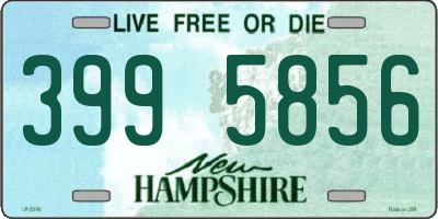 NH license plate 3995856