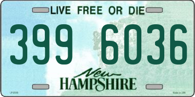 NH license plate 3996036