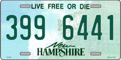 NH license plate 3996441