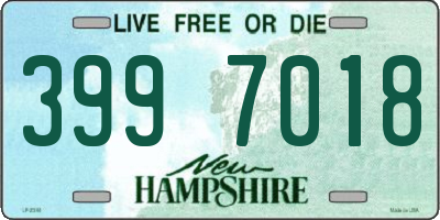 NH license plate 3997018