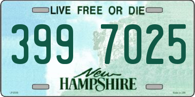 NH license plate 3997025