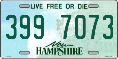 NH license plate 3997073