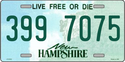 NH license plate 3997075