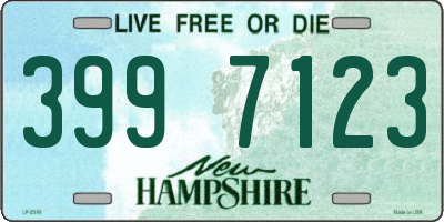 NH license plate 3997123