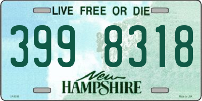 NH license plate 3998318