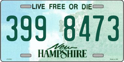 NH license plate 3998473