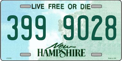 NH license plate 3999028
