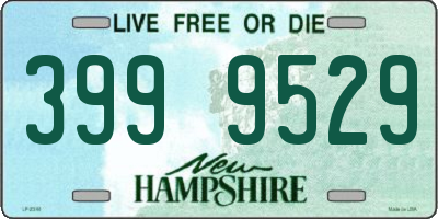 NH license plate 3999529