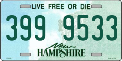 NH license plate 3999533