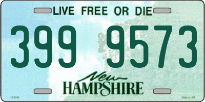 NH license plate 3999573