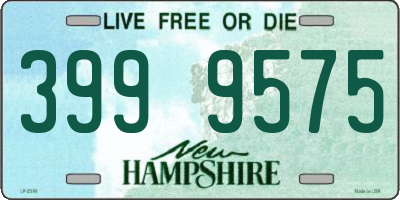 NH license plate 3999575