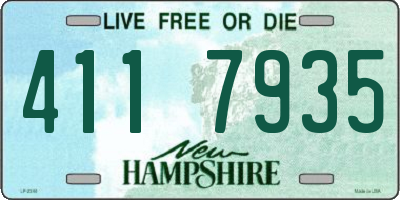 NH license plate 4117935