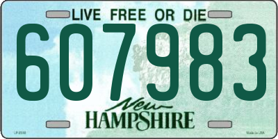 NH license plate 607983