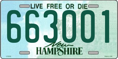 NH license plate 663001