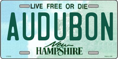 NH license plate AUDUB0N