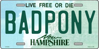 NH license plate BADPONY