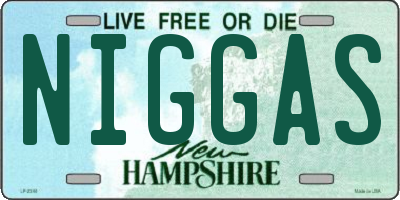 NH license plate NIGGAS