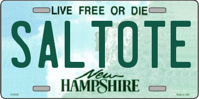 NH license plate SALT0TE