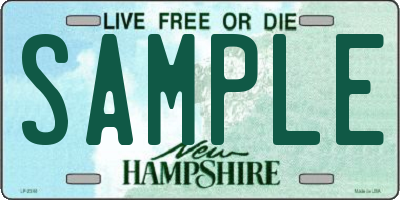 NH license plate SAMPLE