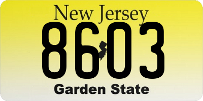 NJ license plate 8603