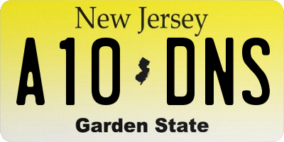 NJ license plate A10DNS
