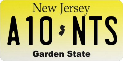 NJ license plate A10NTS